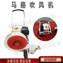 路面灌缝灰尘清扫机 小型庭院落叶清理机 手推式市政道路吹风机