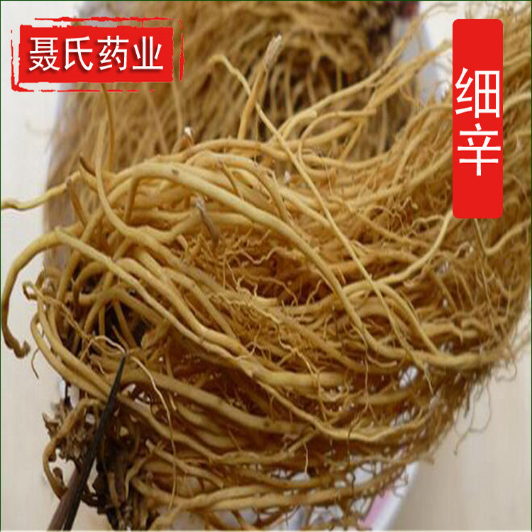 8527321828_903658088