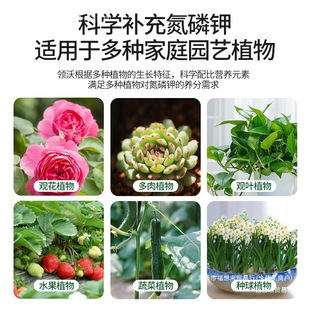 Nitrogen, Phosphorus and Potassium Compound Fertilizer for Agricultural Vegetables, Green Leaves, Flower Promotion, Organic Root Strengthening, General Granular Fertilizer for Potted Plants, Fruit Promotion, Free Shipping