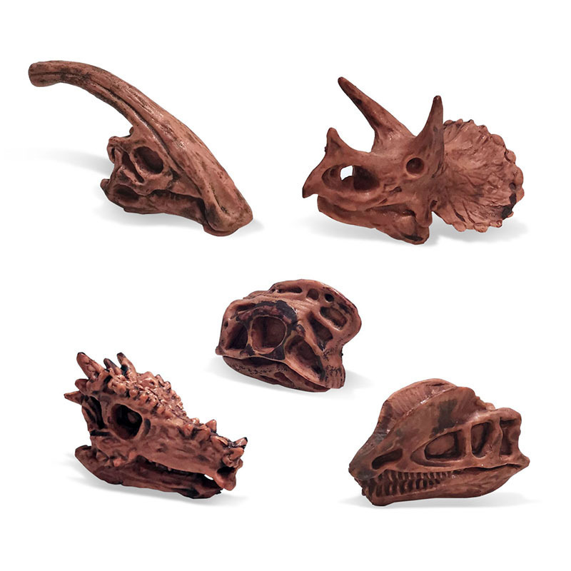 Transfronterizos de venta caliente simulación sólida modelo de cráneo de dinosaurio estático T. rex Velociraptor esqueleto arqueológico juguetes para niños