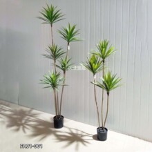 ����G�F��G���F��Ѫ��Gֲ���Կ͏d���ֲ��ͥԺ�[���Ꭷ�쾰