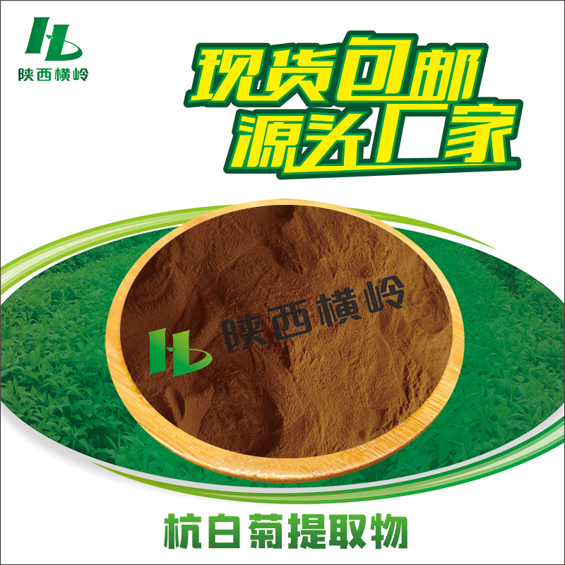杭白菊提取物 30:1抗白菊粉 白菊花提取物 抗白菊黄酮 量大优惠