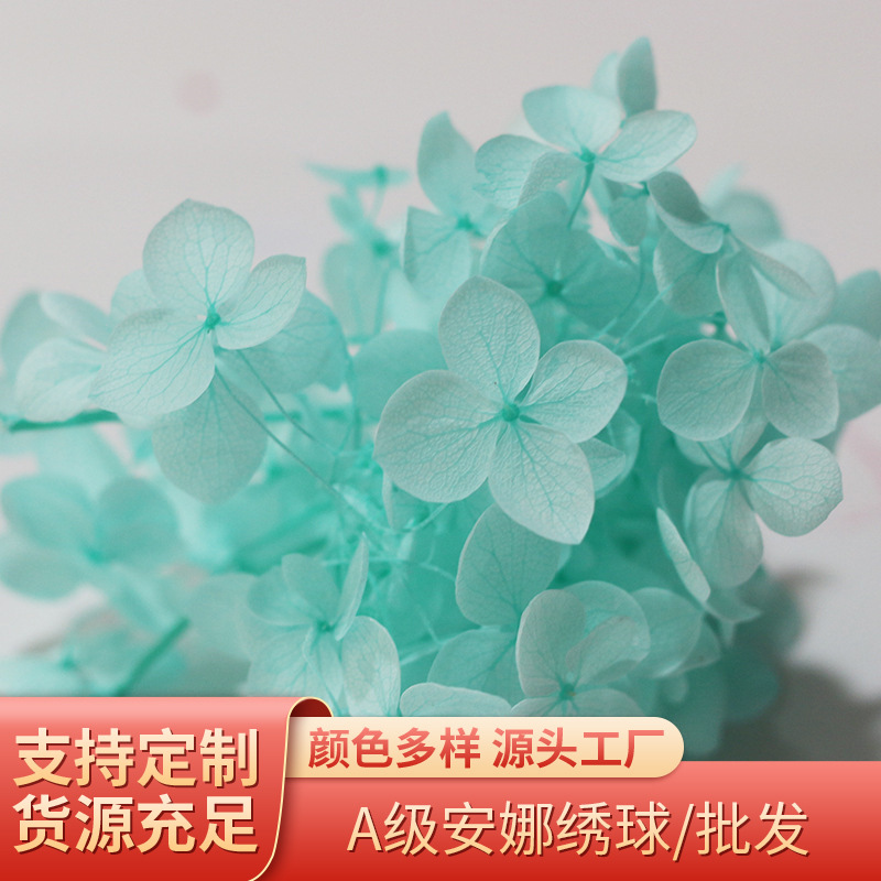永生花安娜绣球小叶A级 情人节圣诞节生日礼物礼盒花材工厂批发