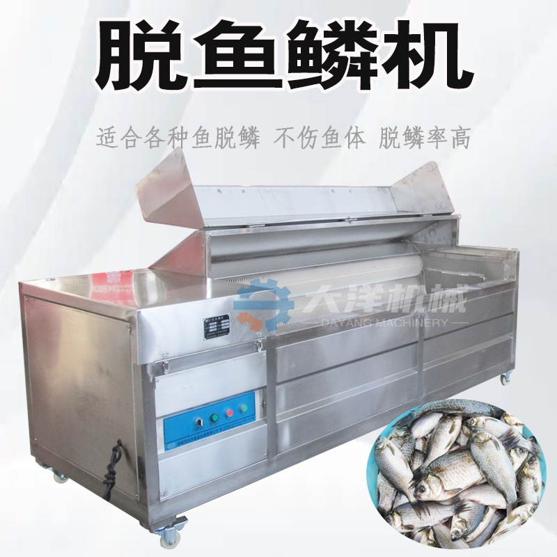 鲜鱼去鳞机全自动无损伤型刮鱼鳞机电动不锈钢脱鱼鳞设备除鱼鳞机