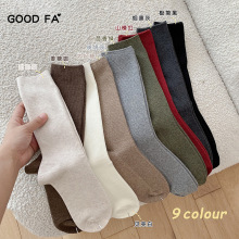 GOOD FA 2023���ﶬ������С�ȶѶ��m���|���A���ݼy�LͲ�m 231