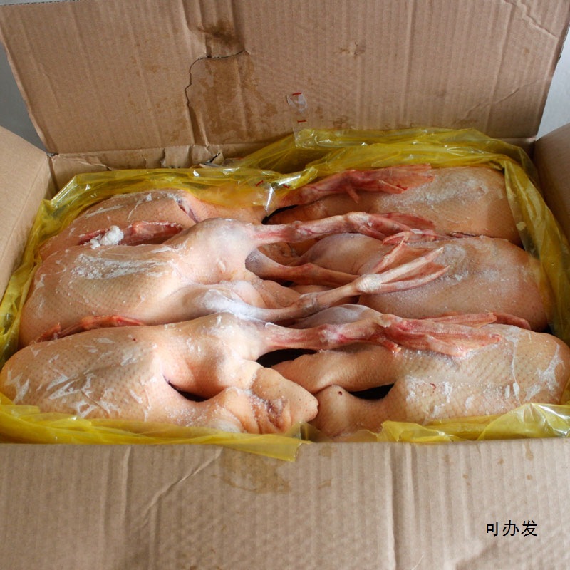 黄皮鸭冰冻全鸭冻鸭子生鲜整只鸭白条全鸭商用冷冻鸭带鸭掌带翅