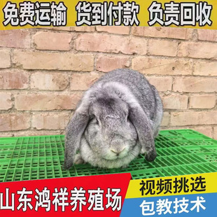 �L�ڹ������������÷N�ú���B���ӻ��w���������l���������ð��]