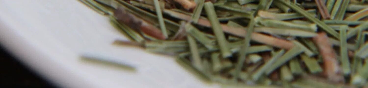 Pine Needle Tea Song Zhen 500g Wild Dried Masson Pine Leaves Herbal Infusion from Changbai Mountain specifications