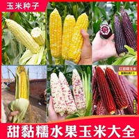 Супер сладкие свежие семена кукурузы, фруктовая кукуруза, белые сладкие клейкие семена, черные сладкие клейкие семена клубники, коллекция для посадки на полях.