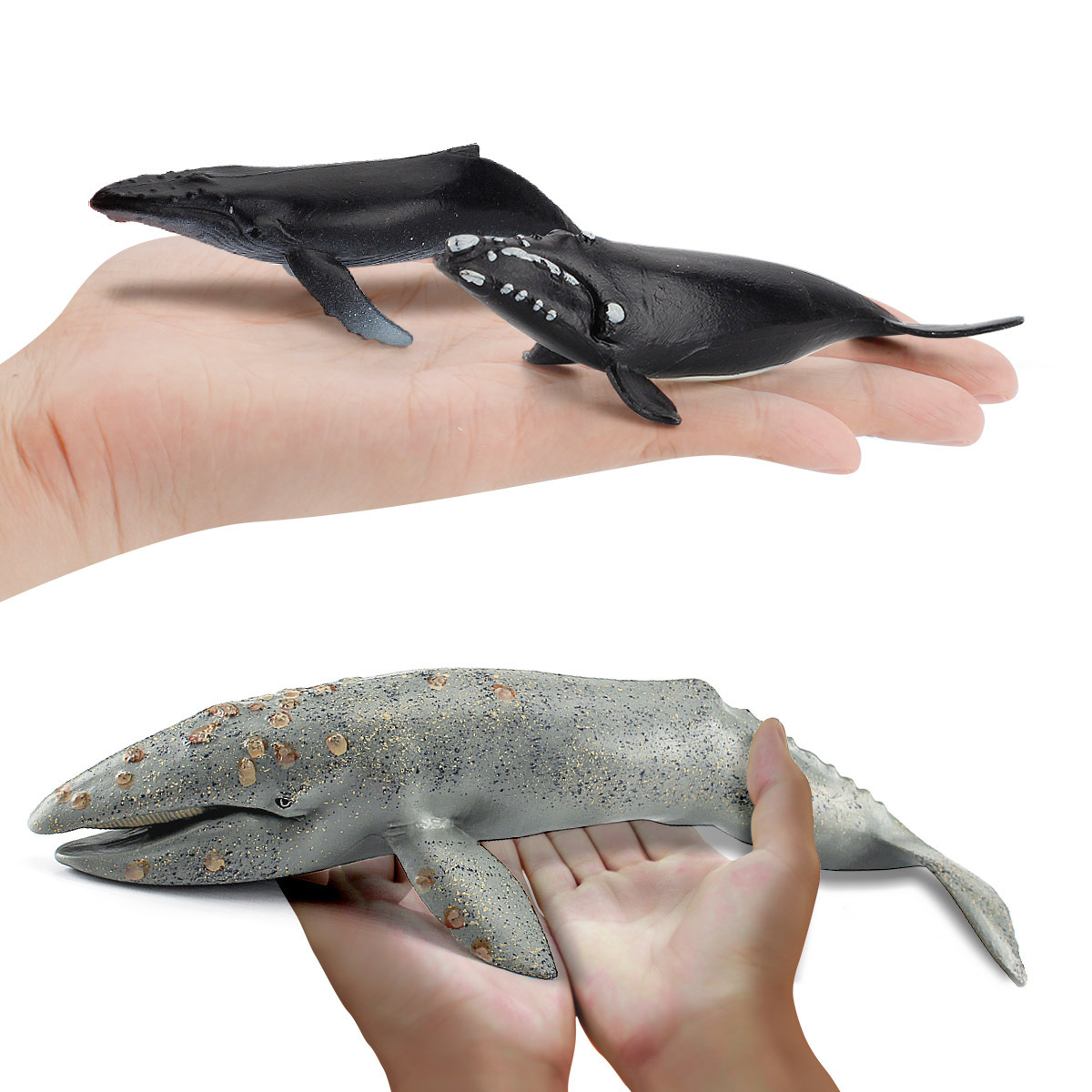 Simulación cognitiva para niños submarino mamíferos ballena jorobada modelo Vida Marina ballena jorobada adornos juguetes transfronterizos