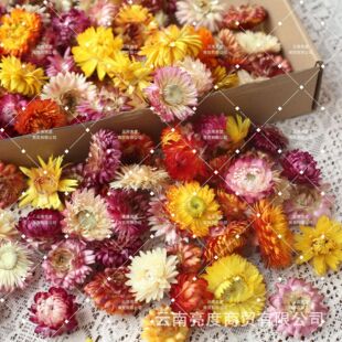 ��С�r�� �����ա��ɻ����ldiy���ϰ��滨�����ֹ������b��߲ʾ�
