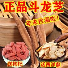 `֥ ֥ خa ֥`֥Ƭ`֥plus؛