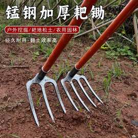 多齿钉耙65锰钢特厚全钢耙子翻地松土锄头挖花生种菜多齿农用钢耙