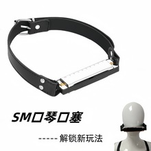 SM情趣道具趣味口琴口塞 情侣挑逗调情新奇特束缚口球 调教性玩具