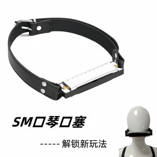 SM��Ȥ����Ȥζ���ٿ��� ��H�����{�����������`���� �{�������