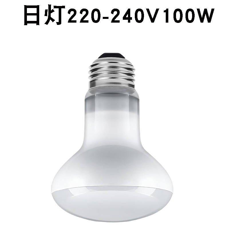R63220v 주간 조명 100w