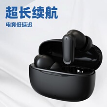 2025�¿�S˽ģ tws��o�����ʽ�{���\�Ӷ��C�L�m���߱������|