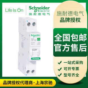 Schneider R9 Series Compact Leakage Protection Circuit Breaker 1P+N R9 Integrated Leakage Protection Air Switch for Home Use