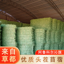 头茬苜蓿干草国产苜蓿草牧草羊驼马长颈鹿草料奶山羊饲料动物口粮
