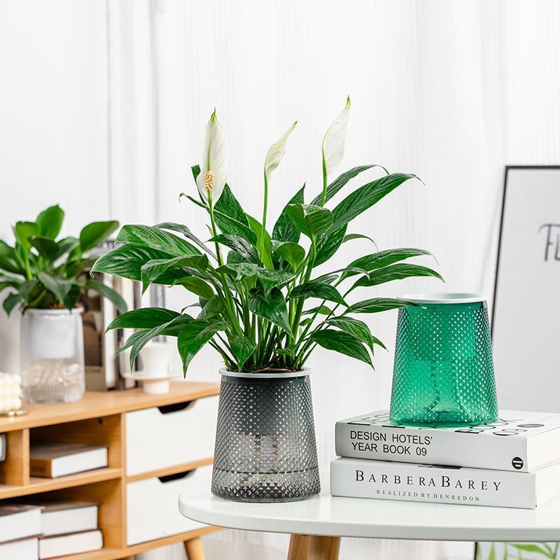 Self-Watering Flower Pot for Lazy Gardeners, Suitable for Pothos, Roses, Orchids, and Succulents, Made of Lightweight Breathable Plastic for Balcony Use