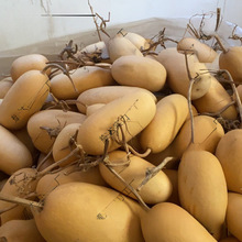 �F�д����̓rҰ�����ϴ����ֺ��J�m���Ӯ����L�����ֹ��YƷ������