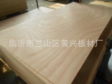 18mmA廨yӰо崲Ҿ߱zϰһоAE0