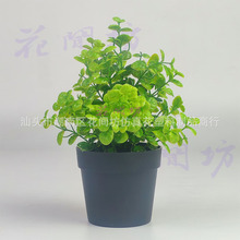 �羳�¿����Gֲ���ԁ��R�d����¶��~���ȼ����҃ȼҾ���������