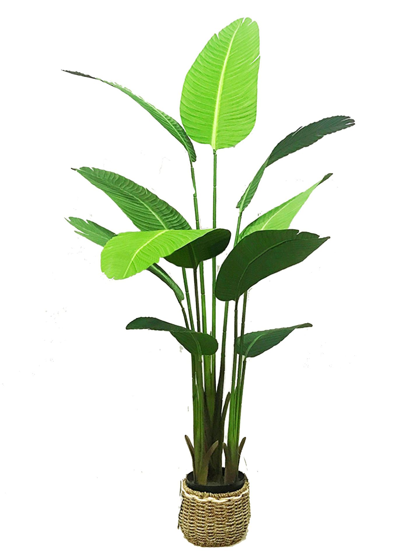 Fábrica directa de productos de plantación verde simulación de maceta simulación de flores cerezo árbol tortuga árbol simulación de comercio electrónico image 2
