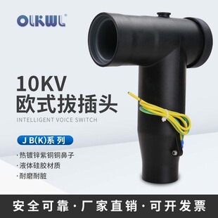 10KV�Wʽ����^������|���^�߉���|��֧����|��630Aǰ����^