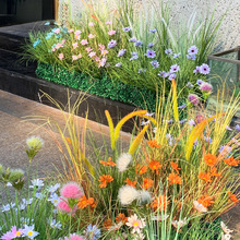 ���쾰���Gֲ�ٻ������b������õ��Ϸ��滨���[�O��ˇ�[��