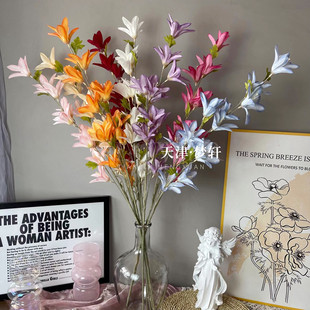 ���澀�l������3���L���m ��c·�����Ų廨�b���С�ٺϻ�