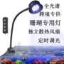 小丑鱼增强定时海水珊瑚灯