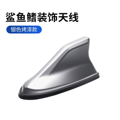 Radio Decorative Antenna Factory, vehicle antenna - silver-spray-paint-box