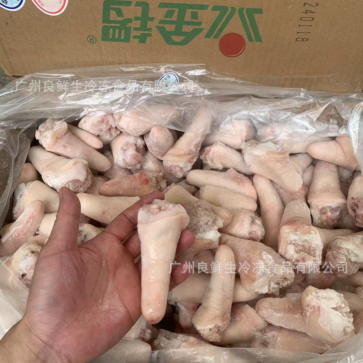 金锣短猪尾 20斤/件 冷冻生猪尾 烧烤炖汤材料猪尾