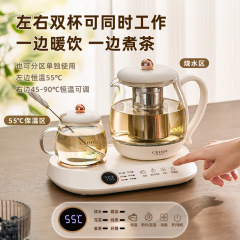 CEOOL President Lady Health Pot Small Home Use Electric Kettle Multifunctional Office Tea Maker Electric Water Kettle
