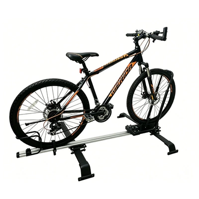 Universal car roof-mounted Luggage Rack