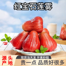 P����ɏ�F�����rˮ��5��t��ʯ�����B�F�����Һڽ����Fժ������]