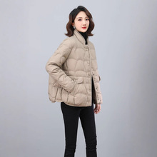 �����͡�24�������ⷨ���e�p����q��