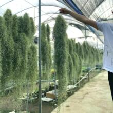 �՚��P������횟o��ֲ��͏d�҃����ԃ����՚�����ȩ���˾Gֲ���}