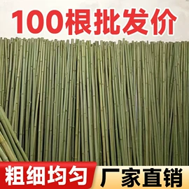 竹木藤苇干草;篱笆/栅栏;园艺护栏