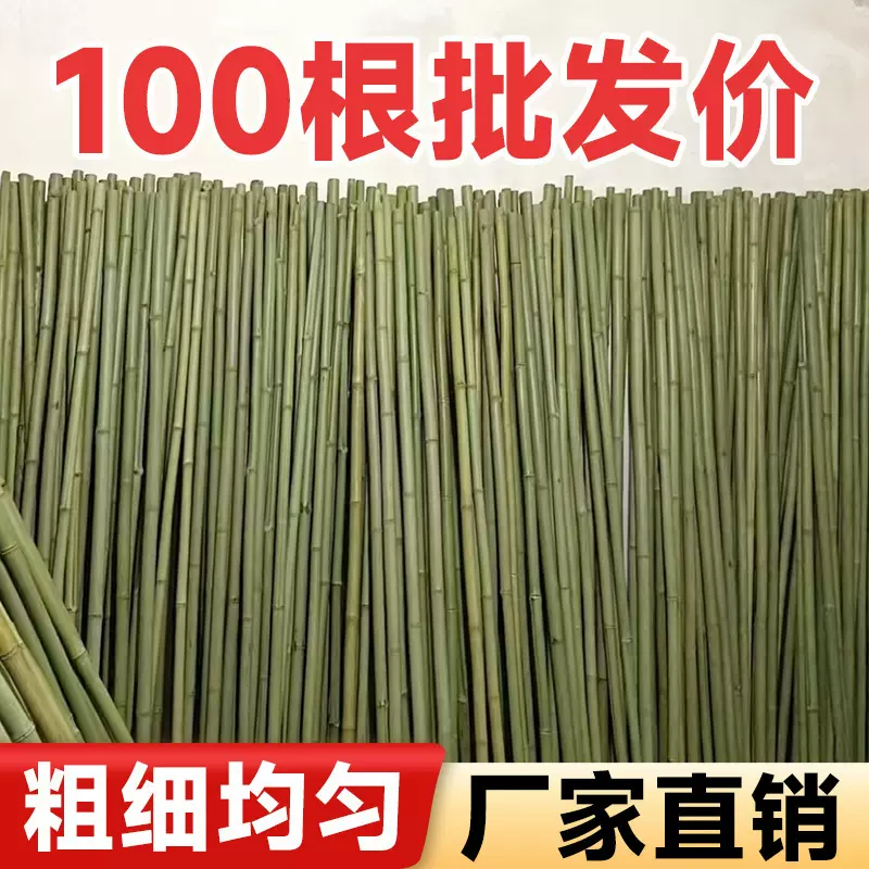 批发竹竿爬藤架搭架新竹竿蔬菜黄瓜豆角竹篱笆栅栏小竹子婚庆旗杆