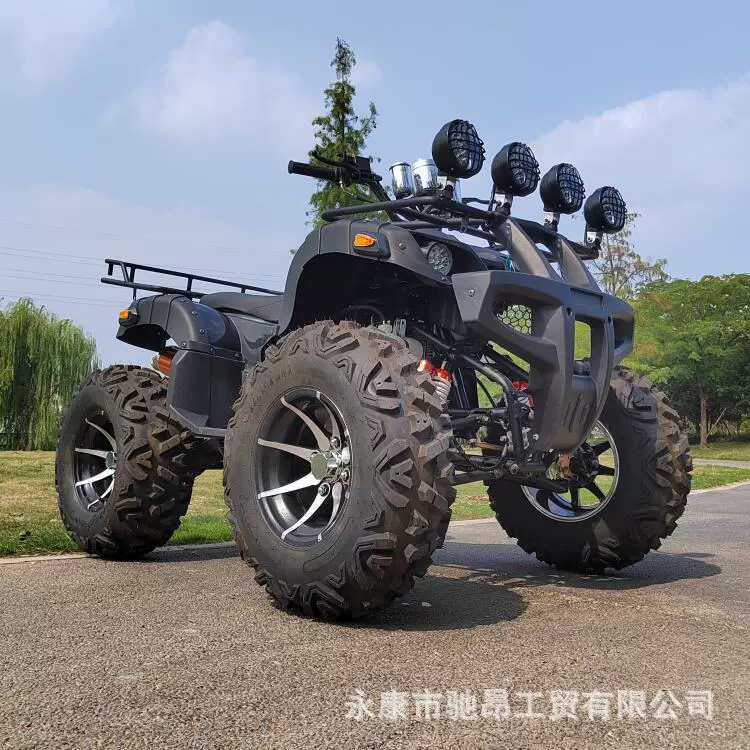 250cc вездеход на четырёх колесах для бездорожья, горный пляжный автомобиль, двухосный привод, аренда внедорожника