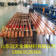 山东厂家直销镀锡T2紫铜排可导电导热C1100接地铜排电表箱铜排