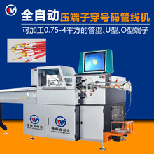 ȫԄӴ̖aܙCԄӲþƤp^˴CԄӲÄһw