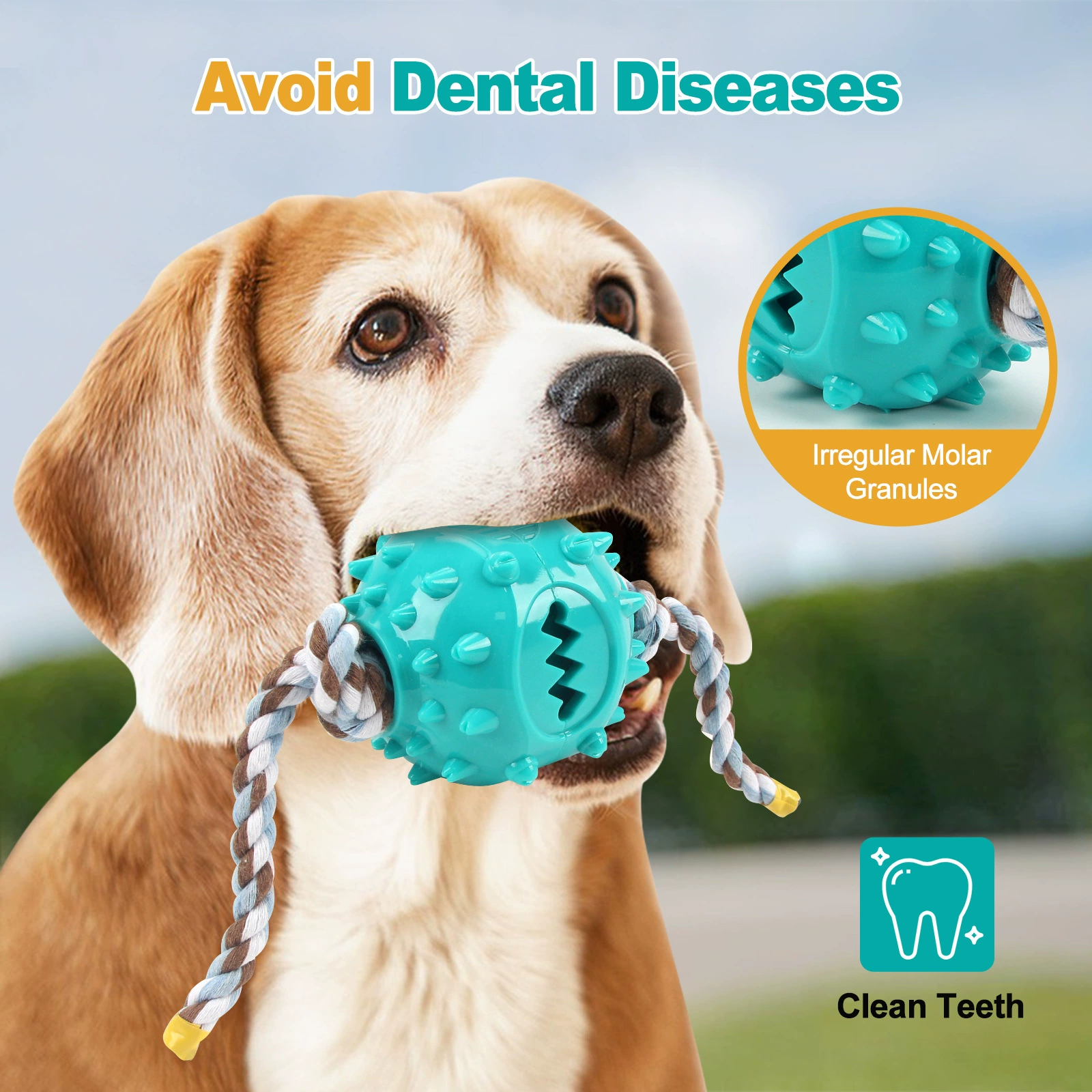 Travel adjustable interactive toy on lanyard, pet, can bite