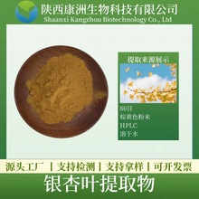 银杏叶提取物 水溶性 银杏叶萃取粉 银杏黄酮 康洲生物  现货包邮