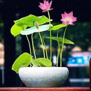 ��ɏ�N���_��ɏ�Ӻɻ��N�ӷNֲ��Bˮ��N���ļ��Nˮ�B����ɏ�N��