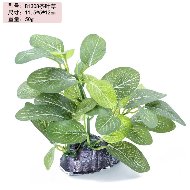 61BgAdEp5ML._AC_SL1000_