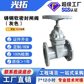 闸阀;止回阀;其他阀门