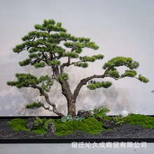 仿真黑松迎客松罗汉松假松树商场酒店装饰造型仿真树景观假造型树